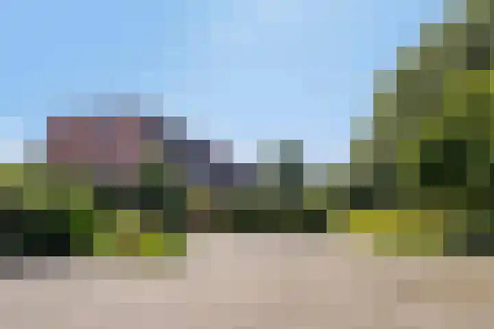 Aggemastate 177 Leeuwarden thumbnail 43