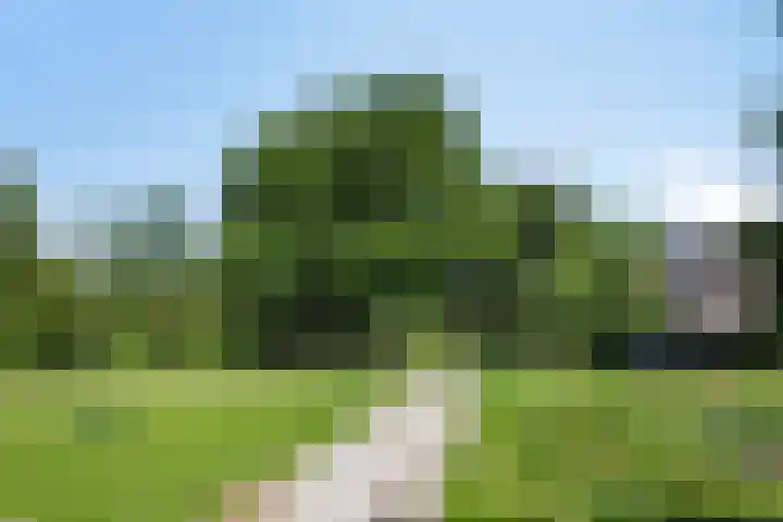 Aggemastate 177 Leeuwarden thumbnail 44