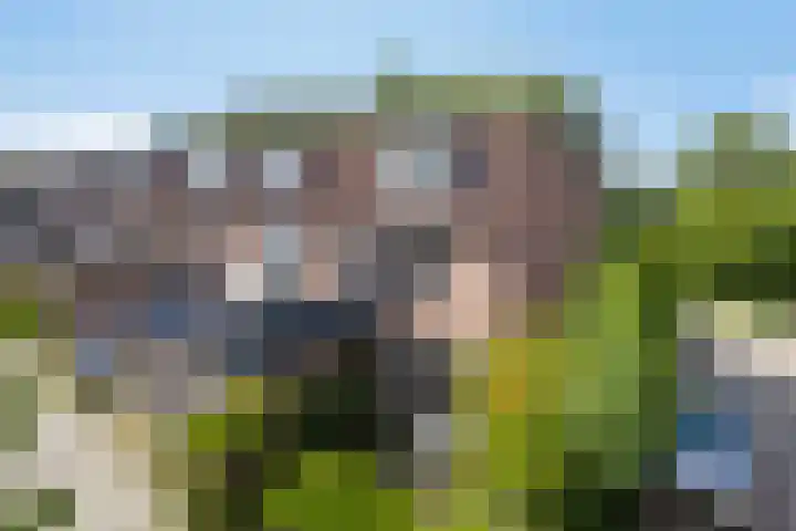 Aggemastate 177 Leeuwarden thumbnail 48