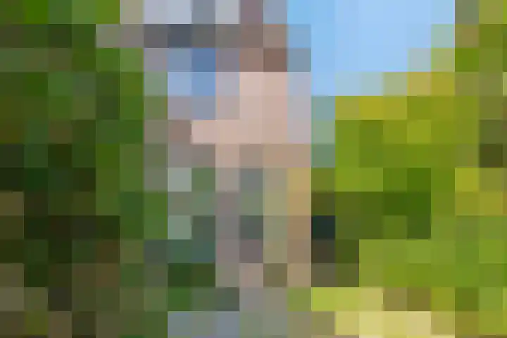 Aggemastate 177 Leeuwarden thumbnail 7