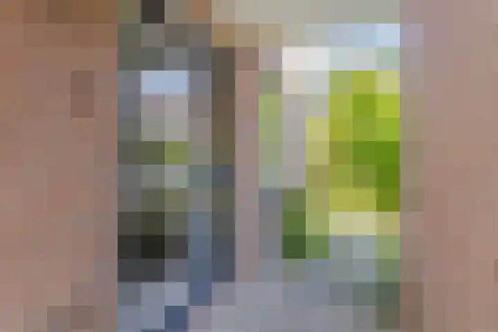 Aggemastate 177 Leeuwarden thumbnail 9