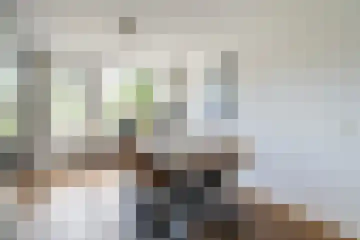 Aggemastate 186 Leeuwarden thumbnail 28
