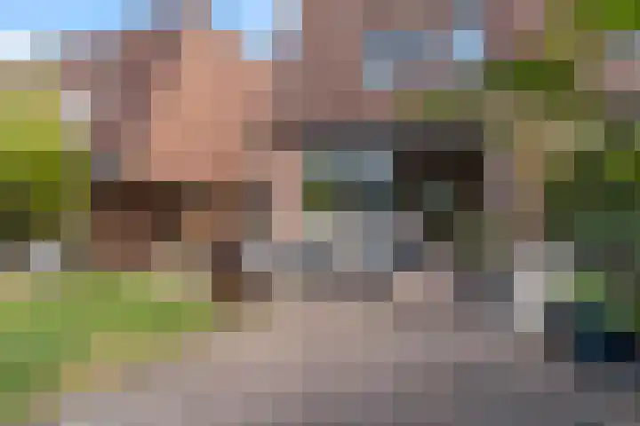 Aggemastate 186 Leeuwarden thumbnail 31