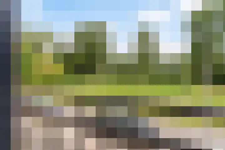 Aggemastate 186 Leeuwarden thumbnail 37