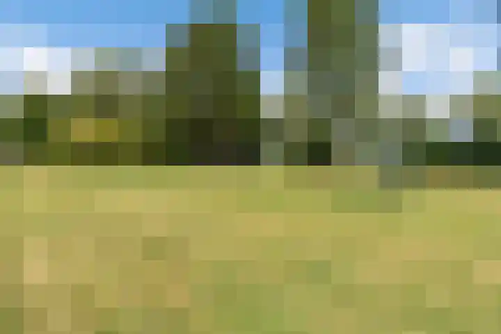 Aggemastate 186 Leeuwarden thumbnail 51
