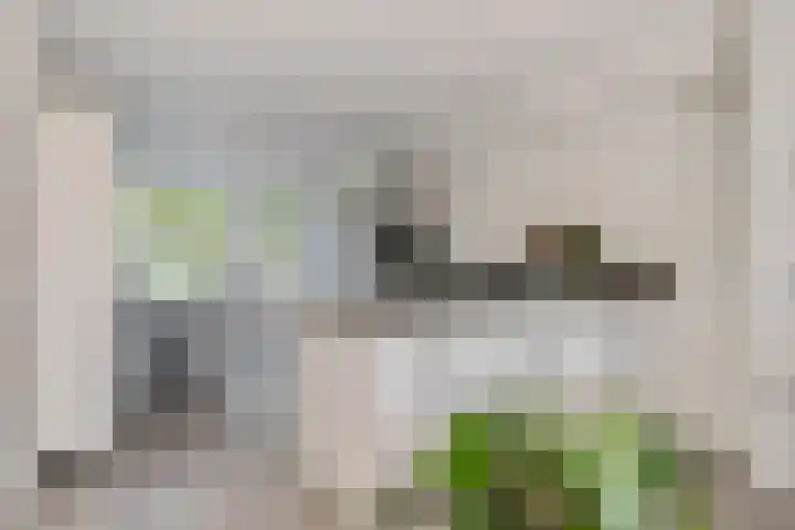 Aggemastate 188 Leeuwarden thumbnail 17