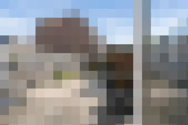 Aggemastate 188 Leeuwarden thumbnail 45