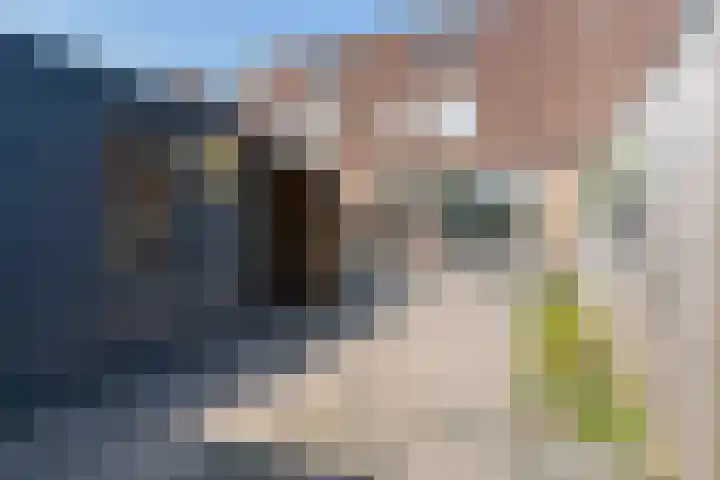 Aggemastate 188 Leeuwarden thumbnail 6