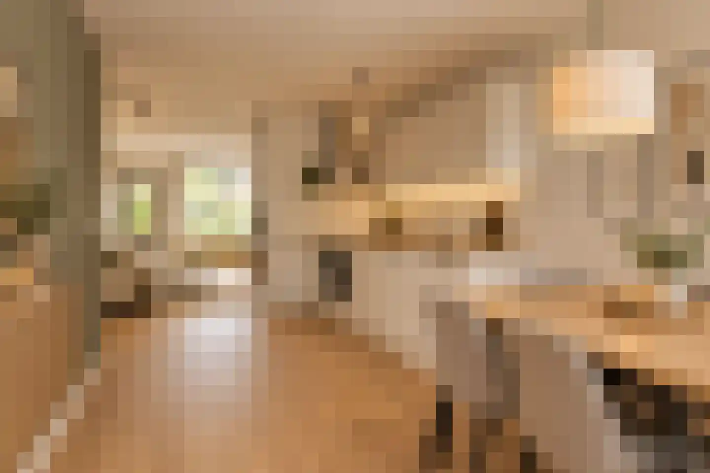 Aggemastate 193 Leeuwarden thumbnail 15