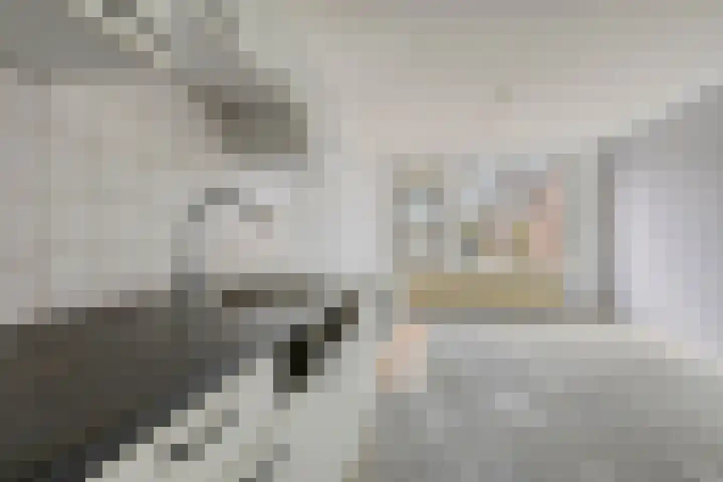 Aggemastate 193 Leeuwarden thumbnail 19