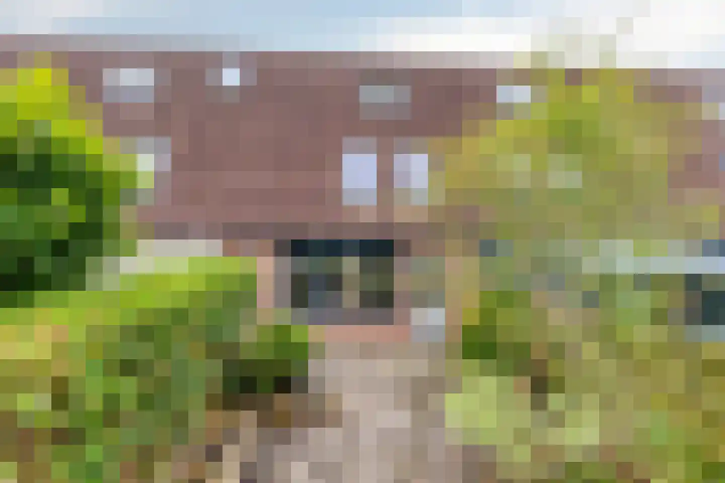Aggemastate 193 Leeuwarden thumbnail 32