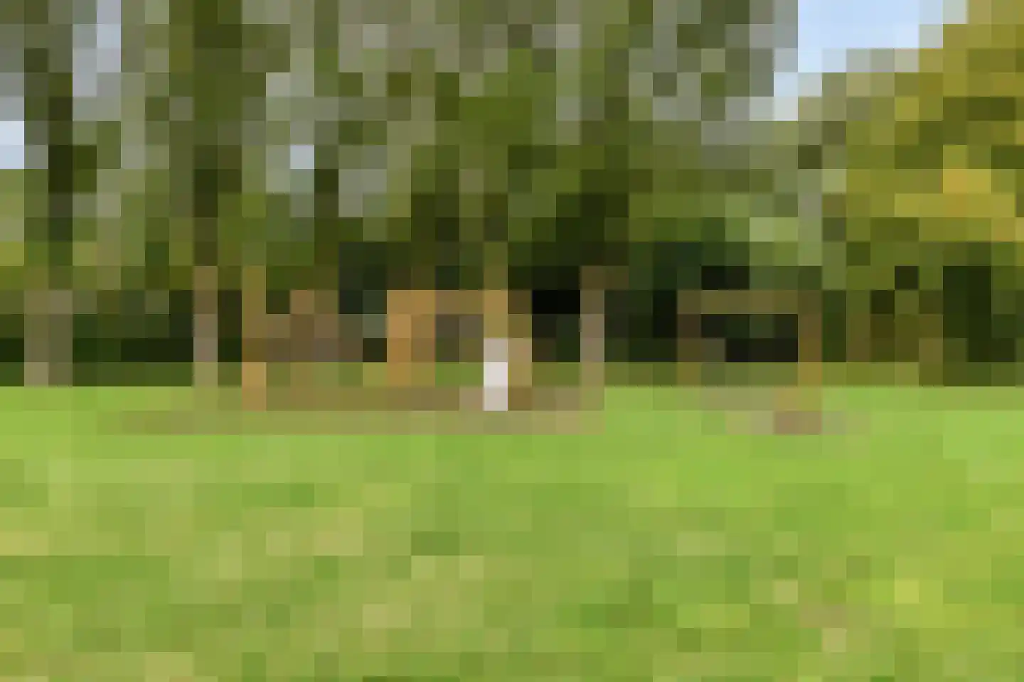 Aggemastate 193 Leeuwarden thumbnail 34