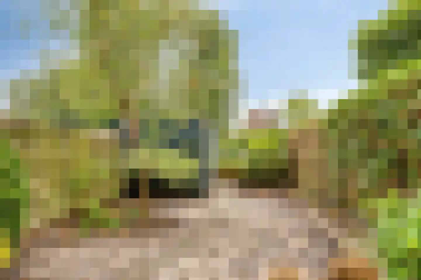 Aggemastate 193 Leeuwarden thumbnail 4