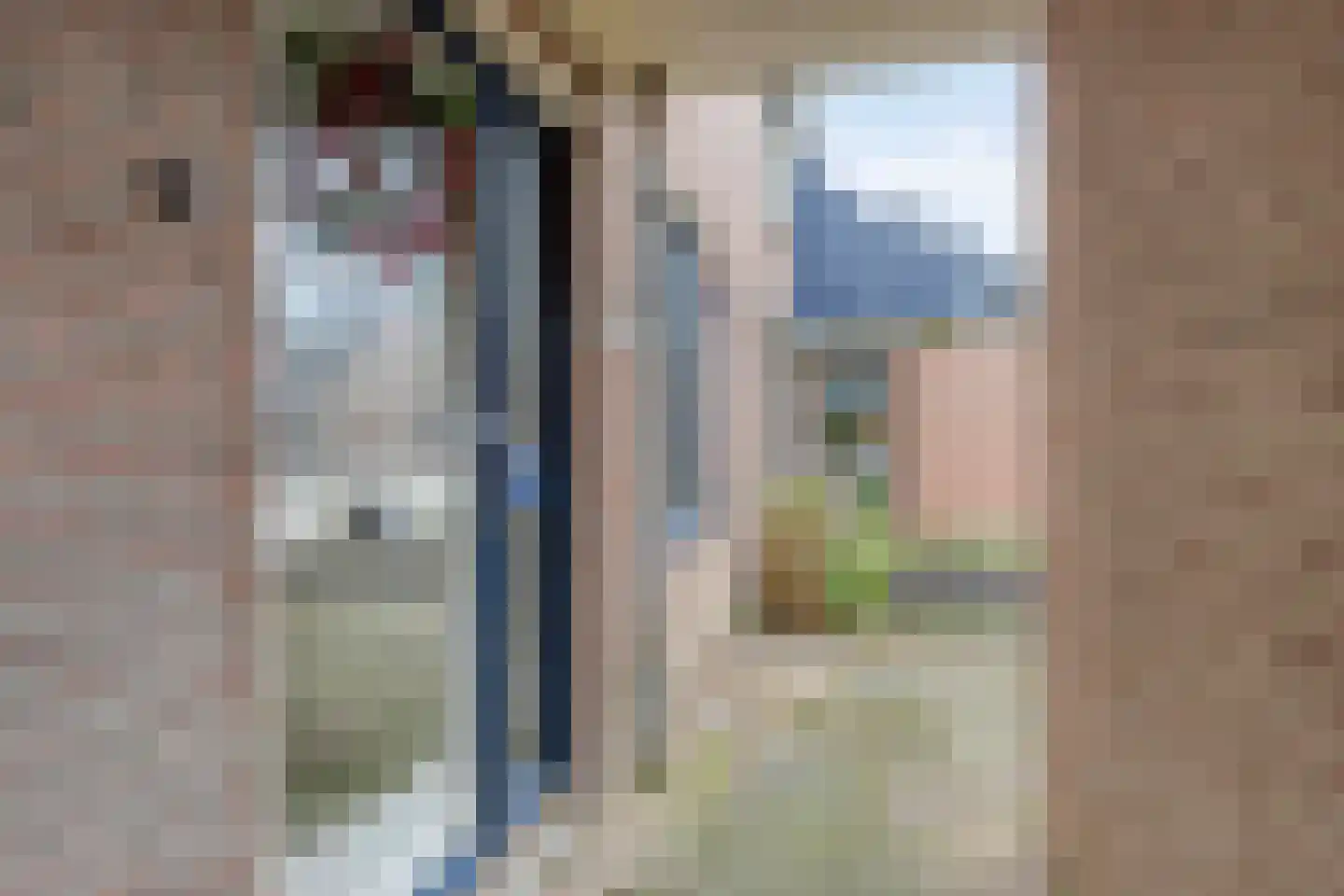 Aggemastate 193 Leeuwarden thumbnail 7