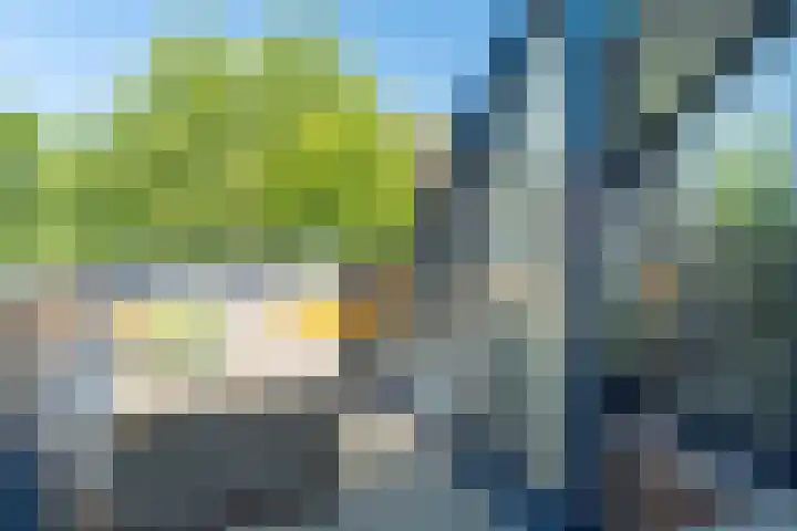Aggemastate 204 Leeuwarden thumbnail 11