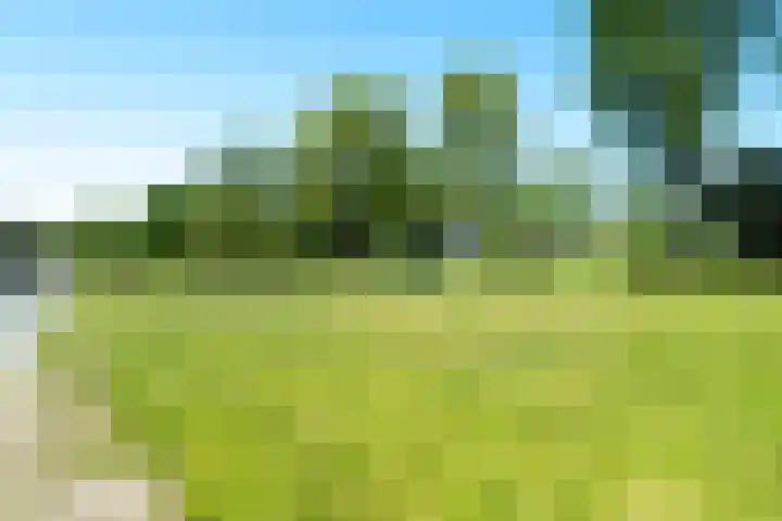 Aggemastate 204 Leeuwarden thumbnail 27