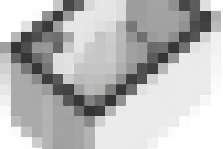 Aggemastate 204 Leeuwarden thumbnail 33