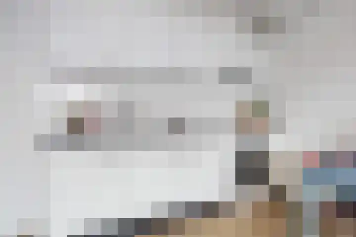 Aggemastate 223 Leeuwarden thumbnail 7