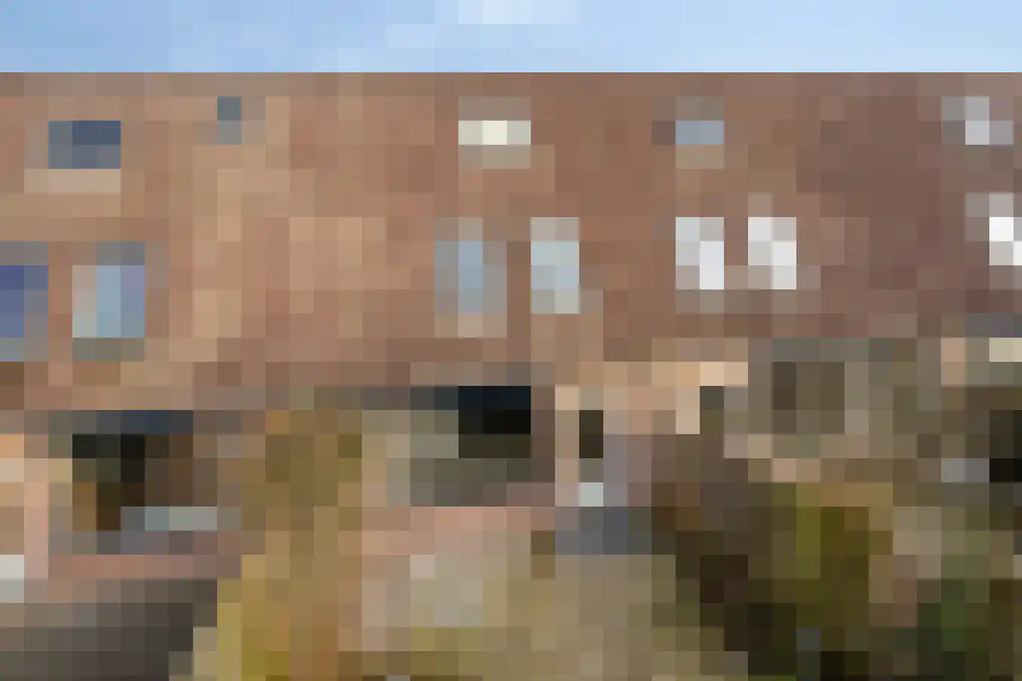 Aggemastate 226 Leeuwarden thumbnail 33