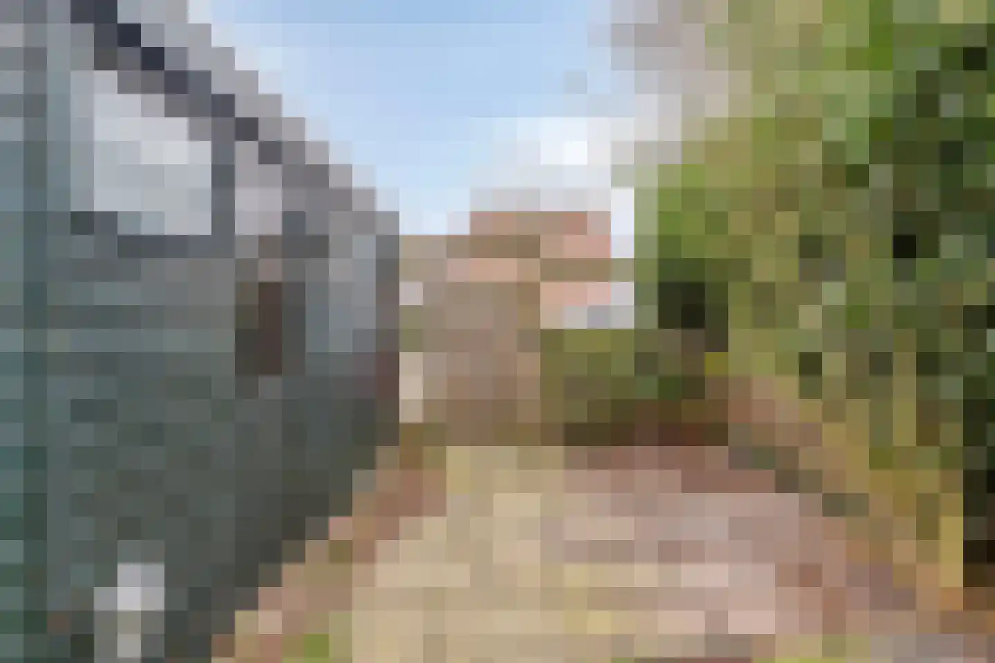 Aggemastate 226 Leeuwarden thumbnail 34