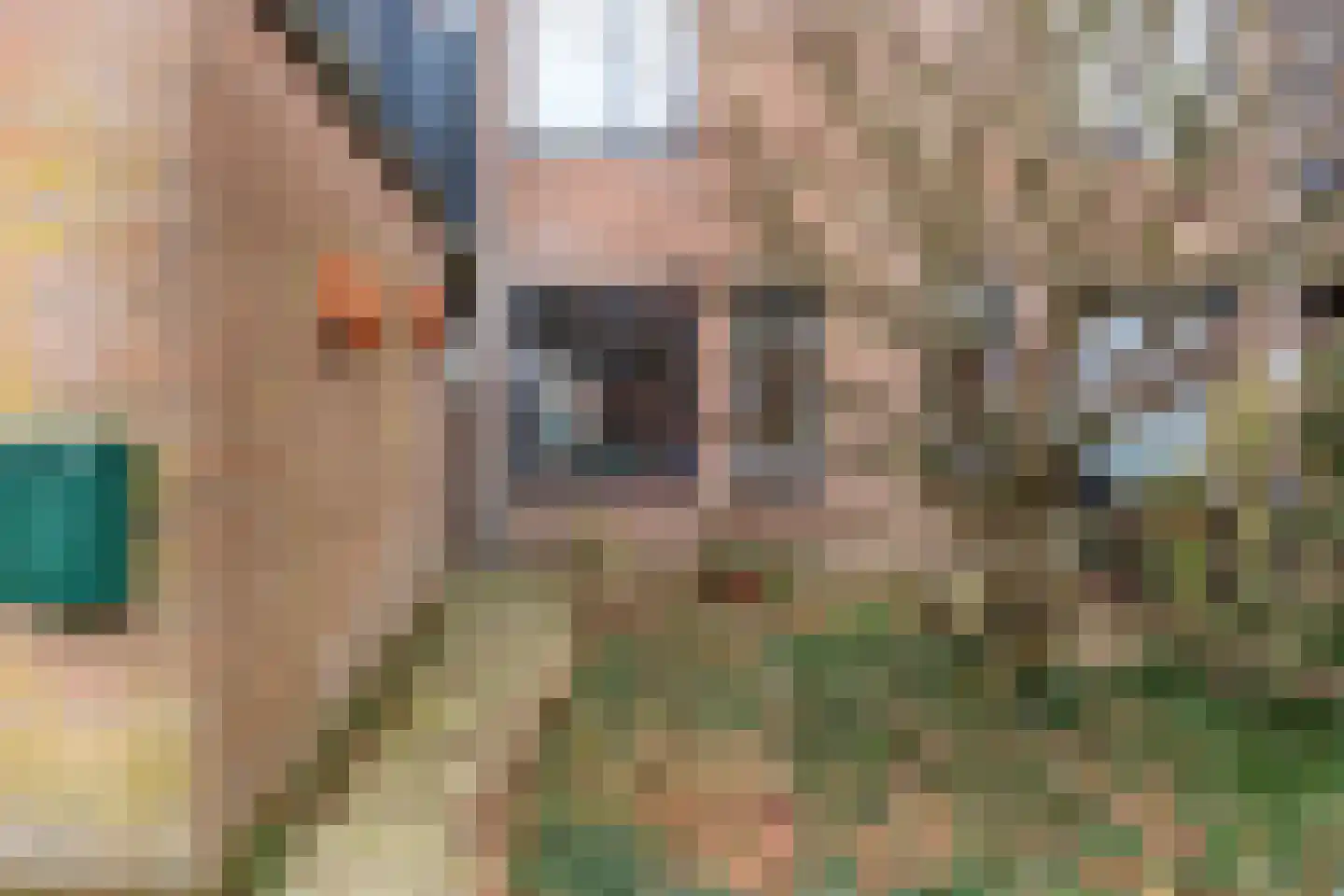 Aggemastate 226 Leeuwarden thumbnail 4
