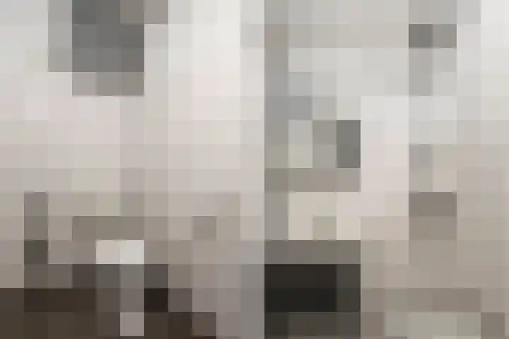 Aggemastate 231 Leeuwarden thumbnail 19