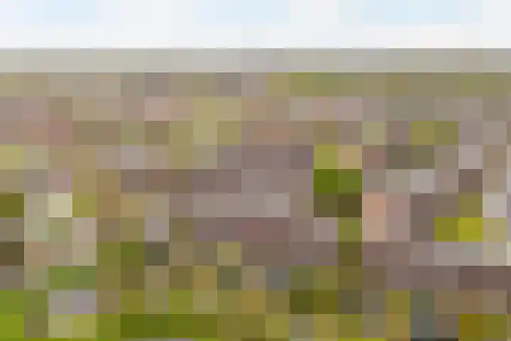 Aggemastate 231 Leeuwarden thumbnail 26