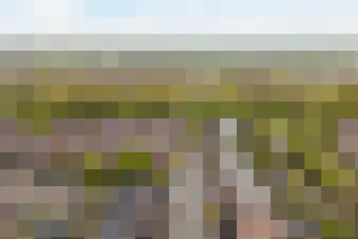 Aggemastate 231 Leeuwarden thumbnail 27