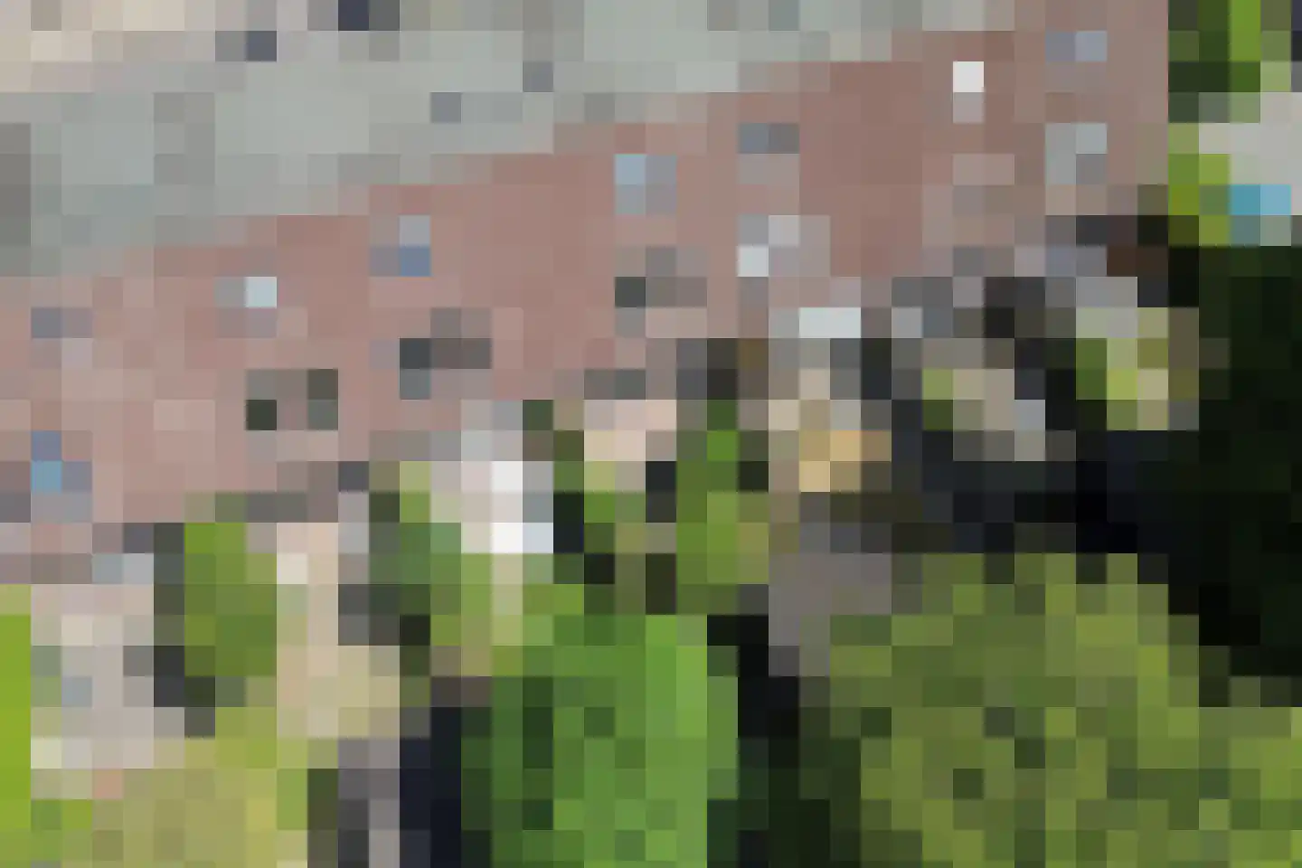 Aggemastate 234 Leeuwarden thumbnail 39