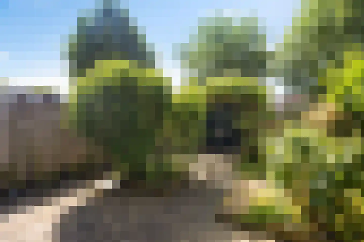 Aggemastate 234 Leeuwarden thumbnail 4