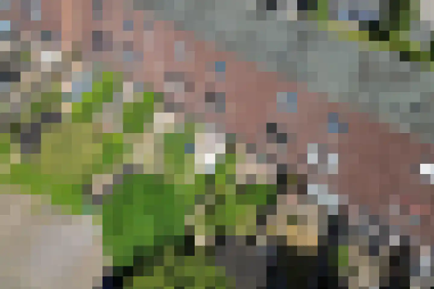 Aggemastate 234 Leeuwarden thumbnail 40