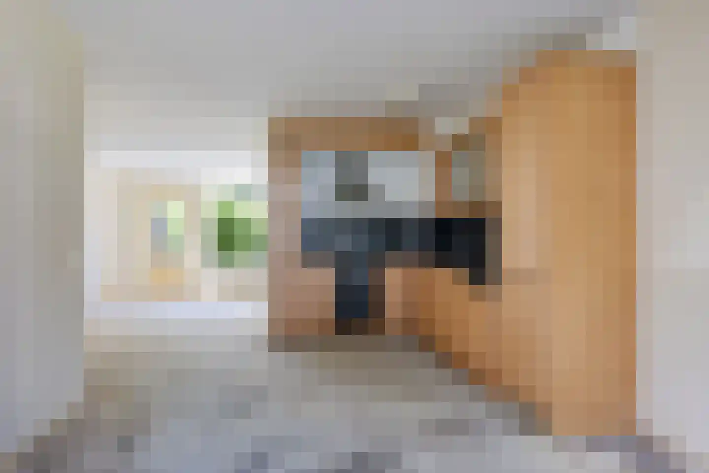 Aggemastate 234 Leeuwarden thumbnail 6