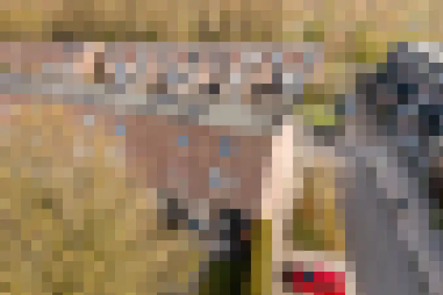 Aggemastate 246 Leeuwarden thumbnail 19