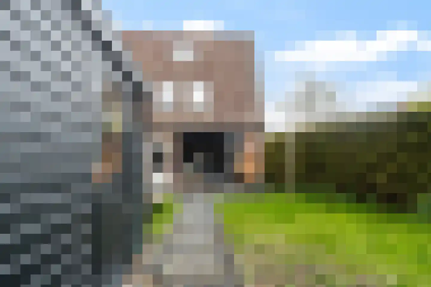 Aggemastate 248 Leeuwarden thumbnail 16