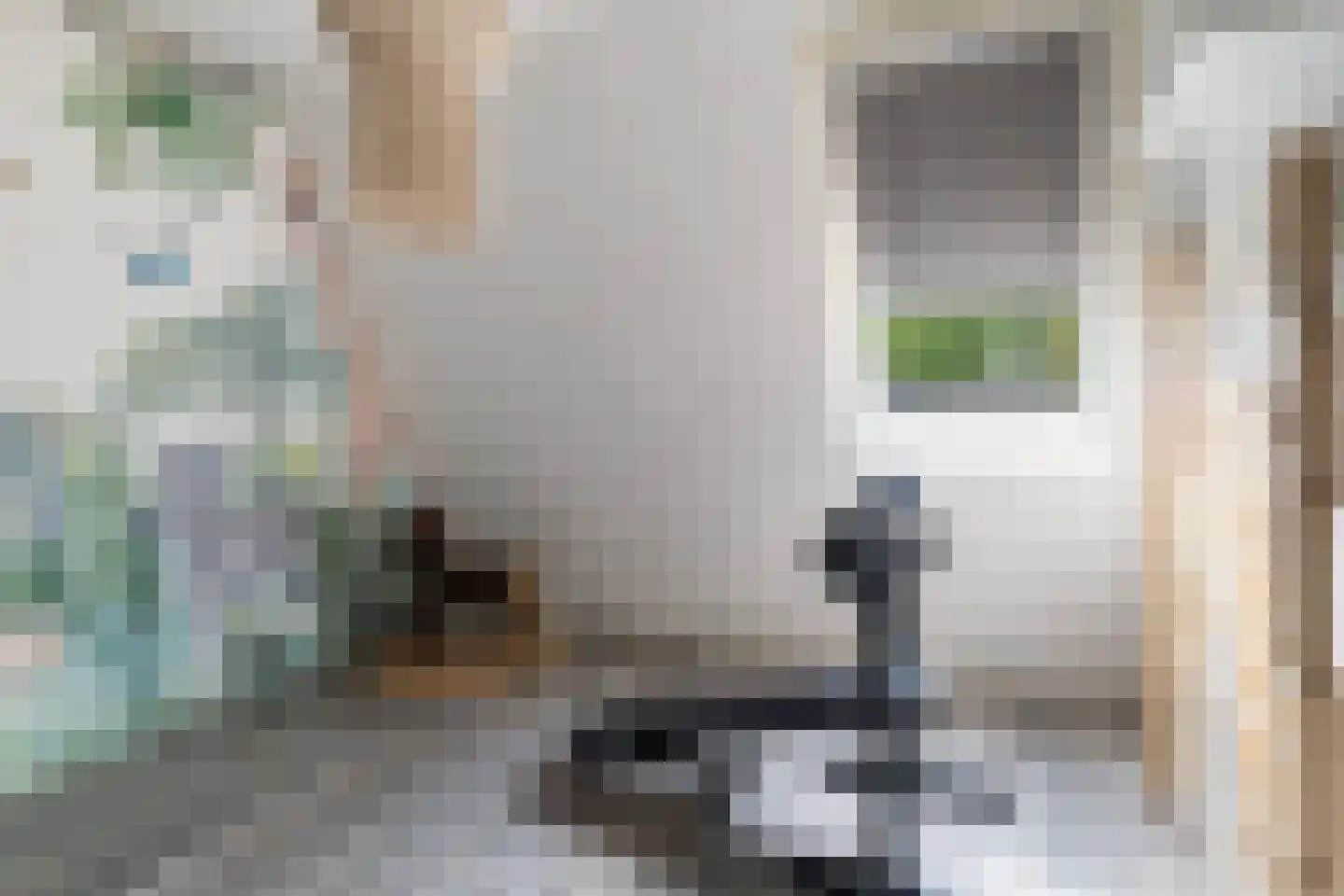 Aggemastate 248 Leeuwarden thumbnail 23