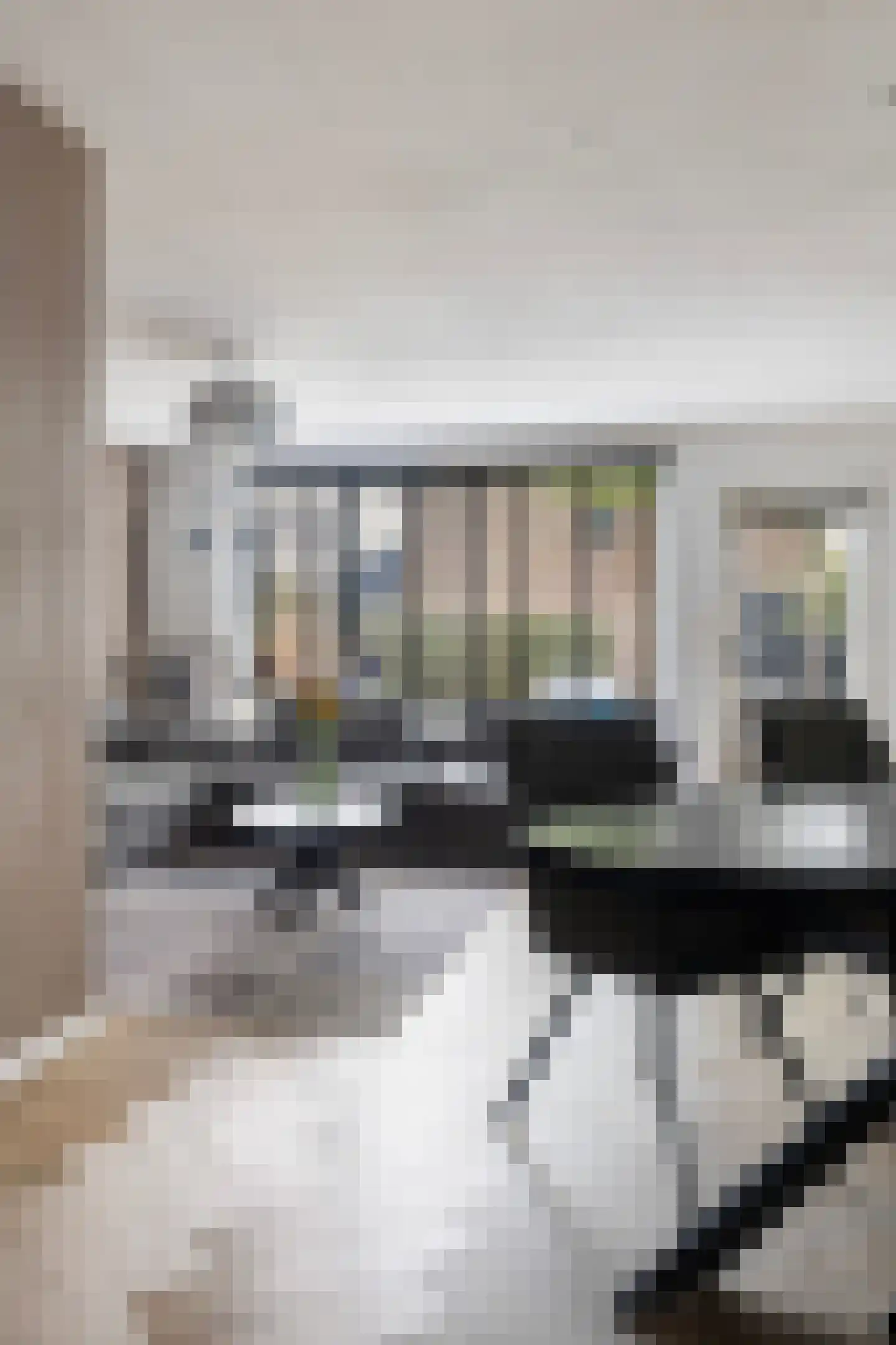 Aggemastate 248 Leeuwarden thumbnail 6