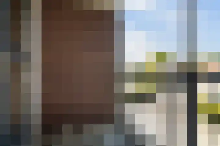 Aggemastate 38 Leeuwarden thumbnail 19