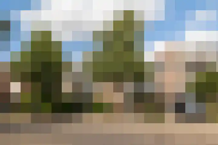 Aggemastate 54 Leeuwarden thumbnail 4