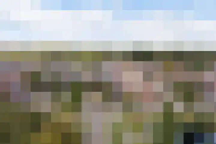 Aggemastate 54 Leeuwarden thumbnail 7