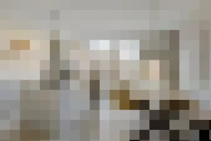 Agger 2 Bergen op Zoom thumbnail 10
