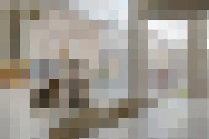 Agger 2 Bergen op Zoom thumbnail 13