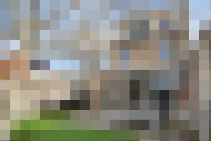 Agger 2 Bergen op Zoom thumbnail 30