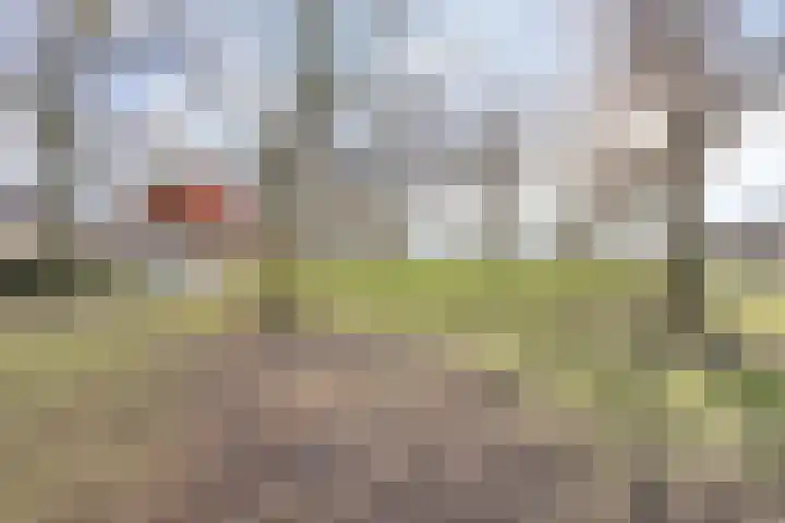 Agger 2 Bergen op Zoom thumbnail 34