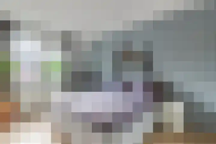 Agilioweg 10 De Meern thumbnail 32