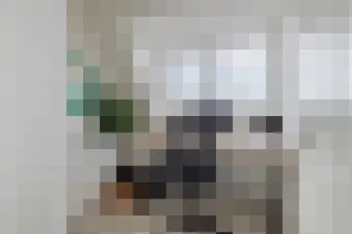 Agilioweg 10 De Meern thumbnail 47