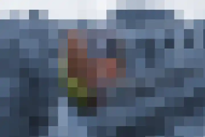 Agilioweg 10 De Meern thumbnail 5