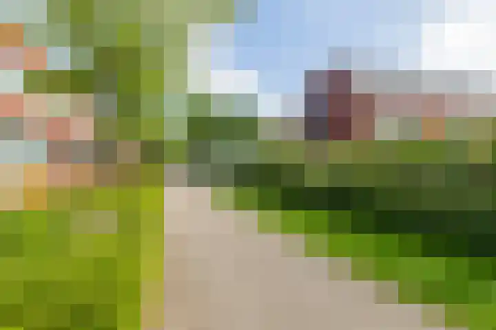 Agilioweg 10 De Meern thumbnail 50