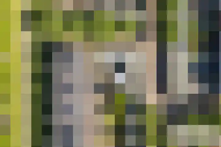 Agilioweg 10 De Meern thumbnail 53