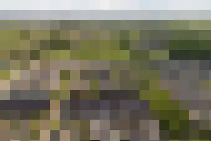 Agilioweg 10 De Meern thumbnail 54