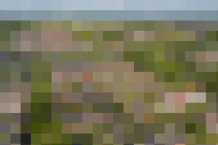 Agilioweg 10 De Meern thumbnail 55